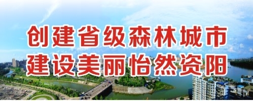 被艹被舔流水创建省级森林城市 建设美丽怡然资阳