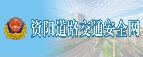 性爱视频看操资阳道路交通安全网